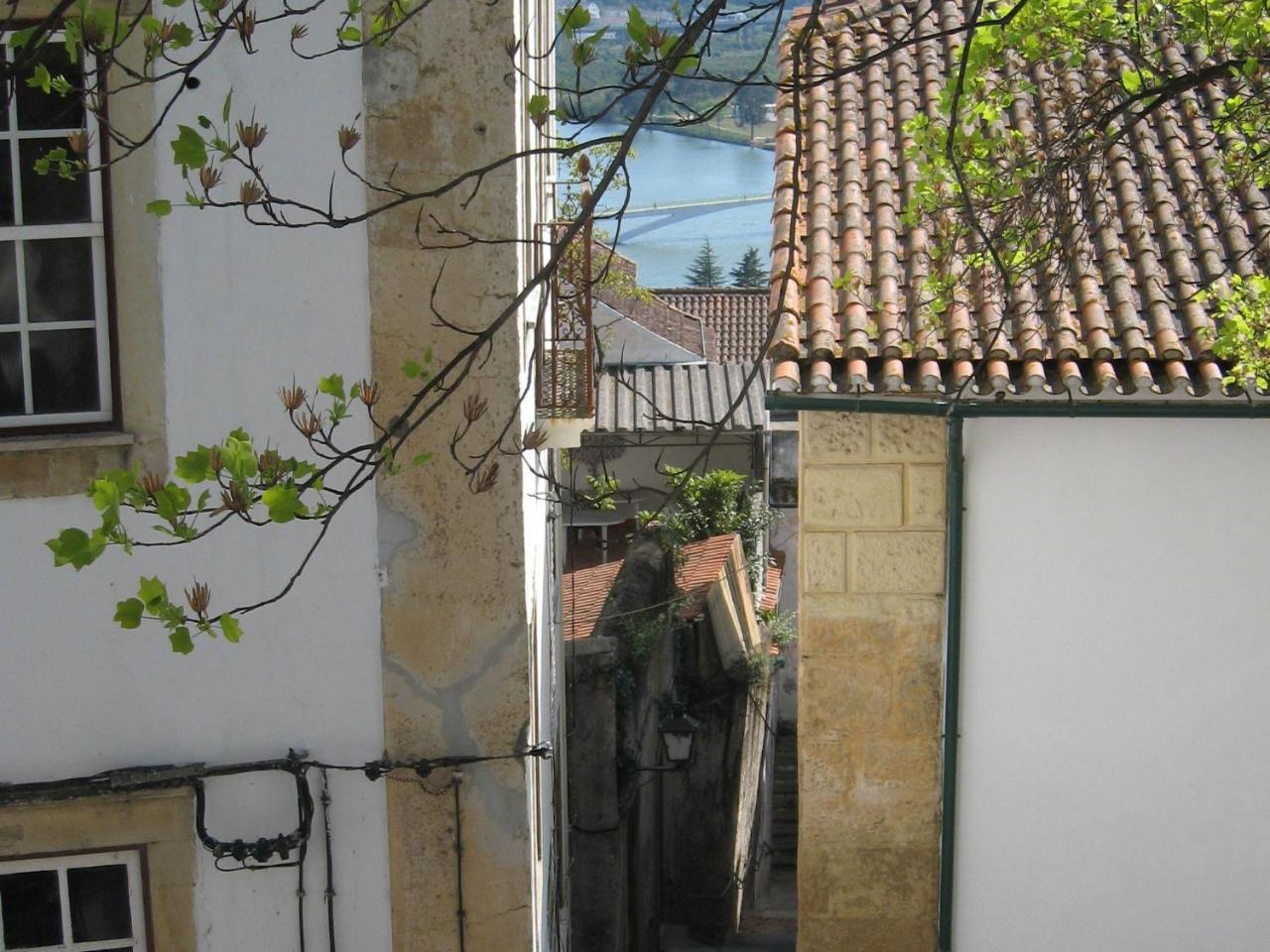 Traditional Mansion In Treixedo With Swimming Pool Εξωτερικό φωτογραφία